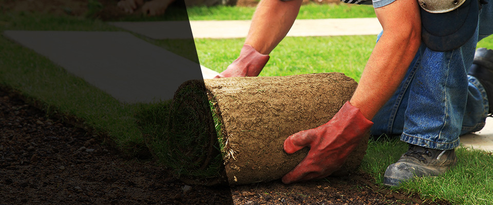 Mcminnville Landscapers